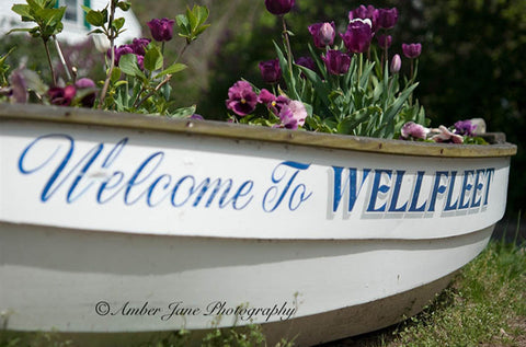 Welcome To Wellfleet