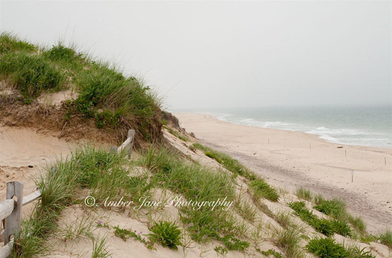 Newcomb Hollow Beach