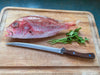 HAND-FORGED FISH FILET KNIFE