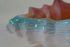 Shell Dish: White w/ Peach